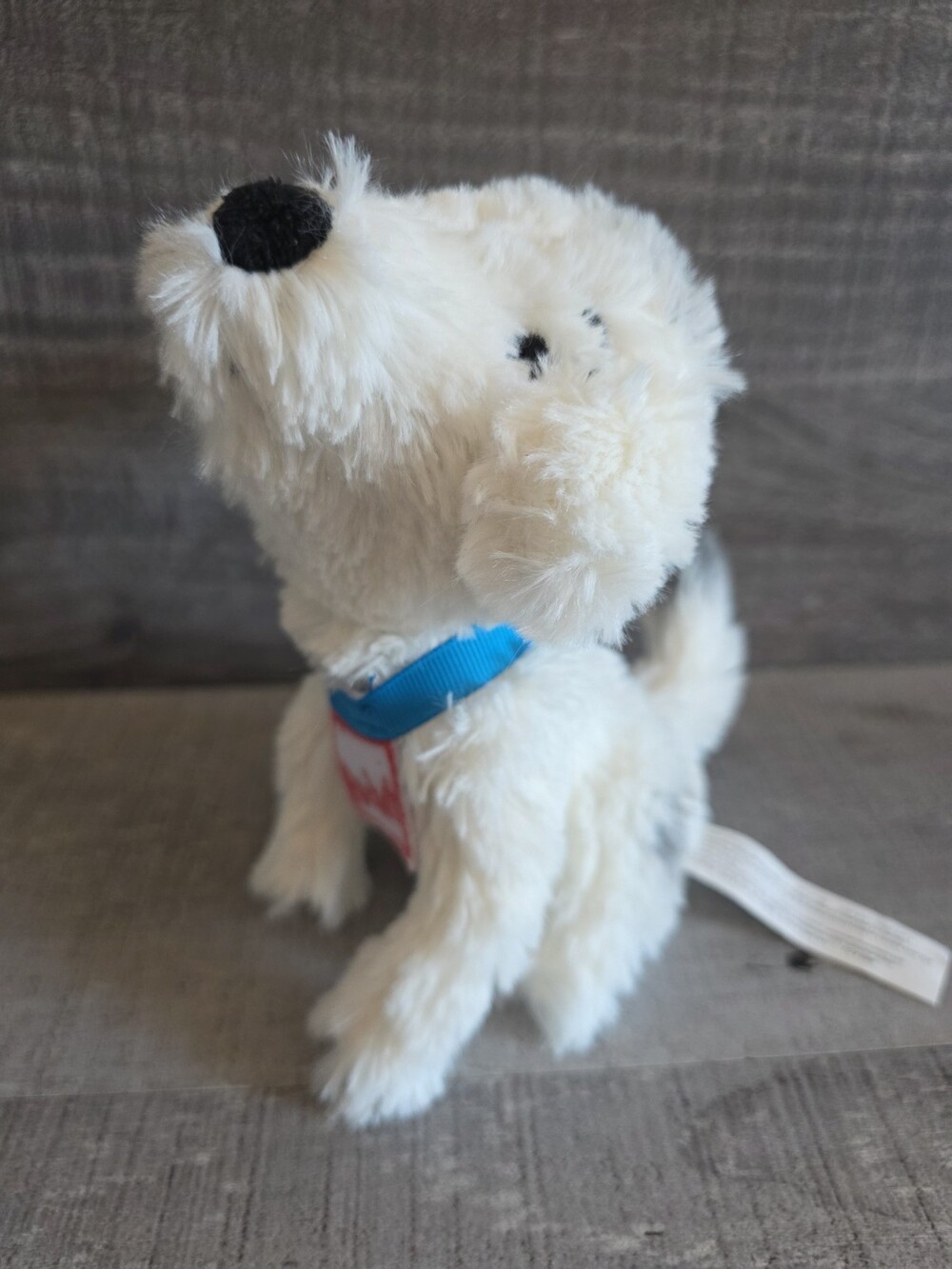 How Rocket Learned to Read Plush Dog 6" Stuffed Animal Merry Makers b319